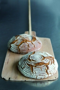 Zwei runde Brote mit spiralförmigen Mustern auf der Kruste liegen auf einer hölzernen Pizzaschaufel, die auf einer metallischen Oberfläche steht.