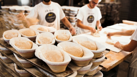 In einer Bäckerei stapeln sich mehrere Körbe mit Teig auf Tabletts. Im Hintergrund arbeiten Bäcker in weißen Hemden, die auf einem großen Holztisch weiteren Teig formen.