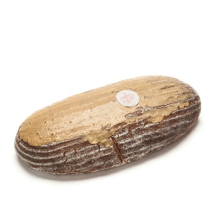 Ein großer, ovaler Laib rustikalen Brotes mit einer leicht braunen, knusprigen Außenseite und einem Mehlstaub auf der Oberseite, der auf einem weißen Hintergrund ruht. Ein kleiner runder Aufkleber befindet sich auf der Oberfläche des Brotes.