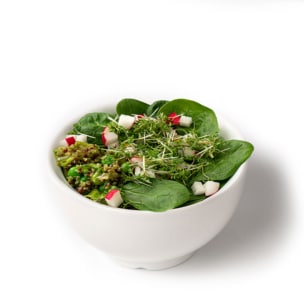 Eine weiße Schale mit frischem Blattspinat, gewürfelten Radieschen, Quinoa und Sprossen, ordentlich auf einem weißen Hintergrund angeordnet.