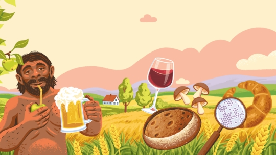 Ein bärtiger Mann trinkt aus einem Apfel und hält einen Bierkrug in einem Weizenfeld. In der Nähe befinden sich ein Glas Wein, Pilze, rundes Brot und ein Croissant; im Hintergrund sind ein Haus, Bäume und Hügel zu sehen.