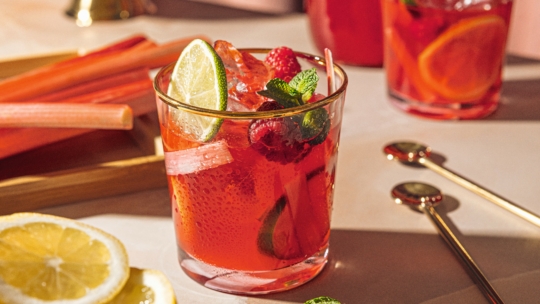 Ein Glas roter Fruchtcocktail mit Eis, garniert mit Limette, Minze und Himbeeren. Rhabarberstängel, Zitronenscheiben und ein zweites Getränk stehen in der Nähe auf einem sonnenbeschienenen Tisch.